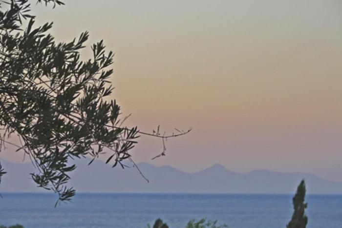 Pouliezos Koklanis Zante Apartments Alykes  Dış mekan fotoğraf