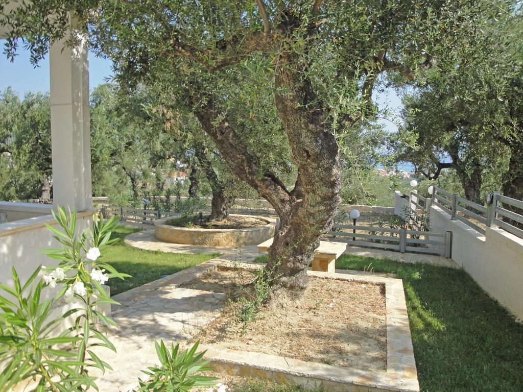 Pouliezos Koklanis Zante Apartments Alykes  Dış mekan fotoğraf